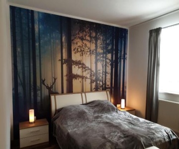 Ferienwohnung Fichtelmountain