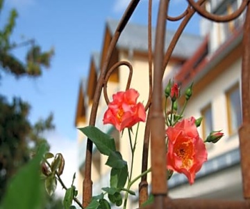 Landhotel Grüner Baum