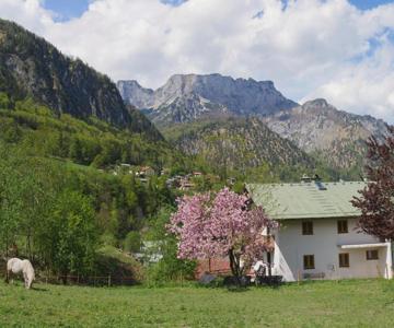 Haus Schiller