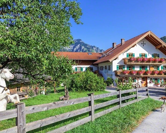 Pfeffererlehen