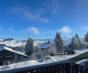 Helle Wohnung mit grosem Balkon