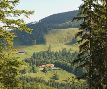 Berggasthaus Steinberg-Alm inkl. Chiemgaukarte
