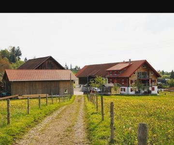 Ferienhof Hölzler