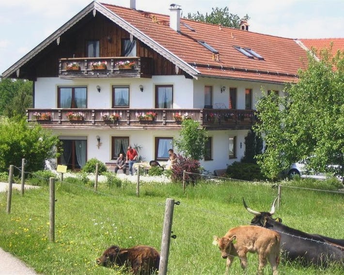 Beim Rieder