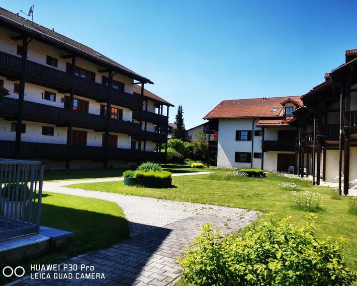 Chrysantihof