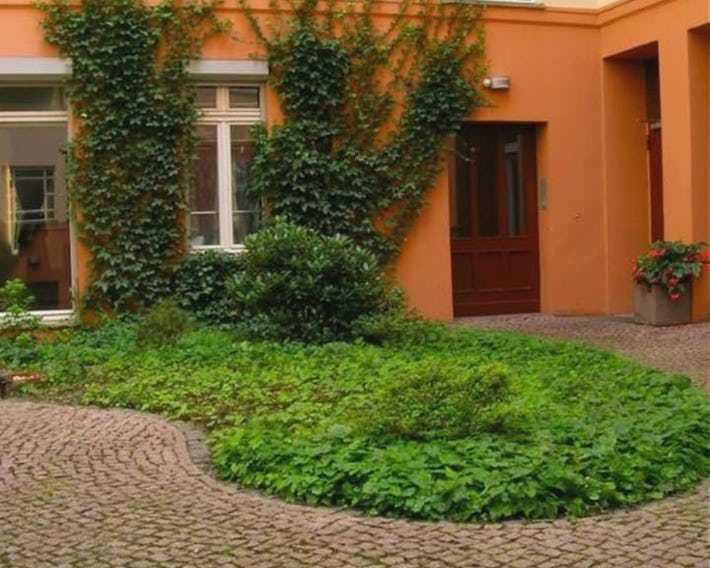 Alte Schönhauser Lux