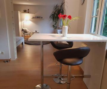 NICO Helles gemütliches Studio Innenstadt HomeOffice Workplace