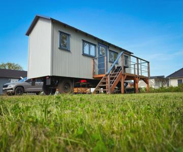 Tinyhaus Löwenzahn