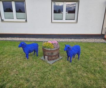 Ferienwohnung zu den Blauen Schafen