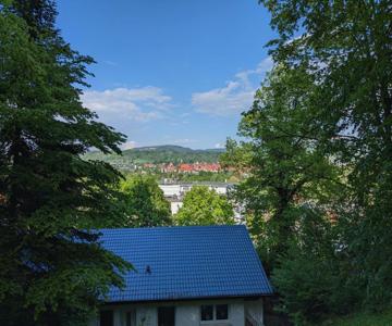Ferienwohnung Haus am Wald