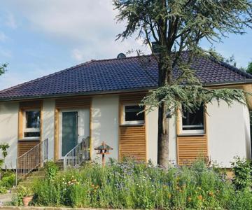 Ferienhaus Urwald