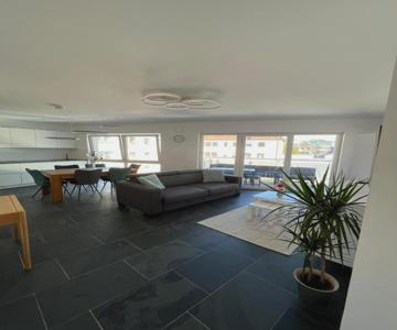 Modern Apartment Mainz By Pma