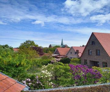 Münsterblick im Rosenwinkel