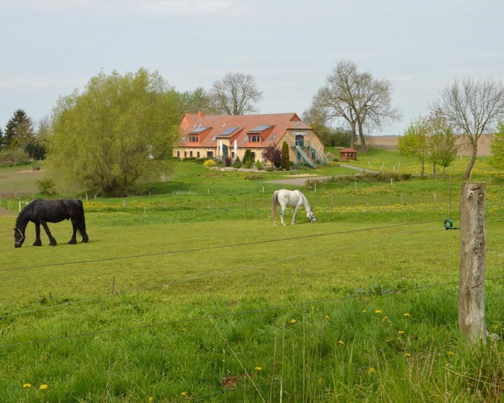 Heu-Ferienhof Altkamp