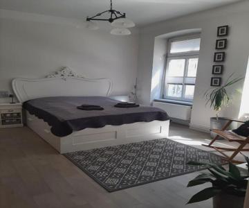 Charmantes, helles City-Apartment - nahe Hafen, Schloss & Altstadt