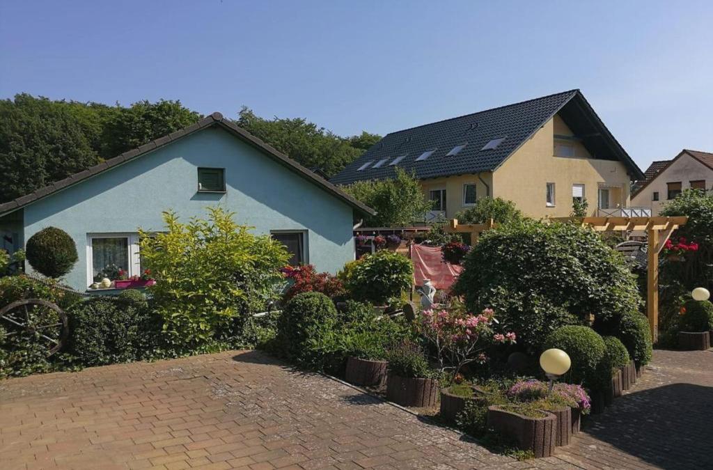 Fewo Seepferdchen