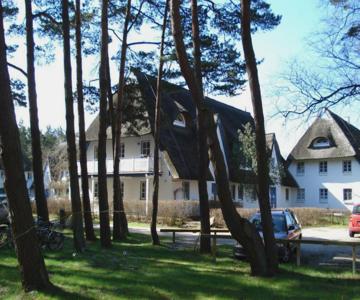 Zingst Achtern Diek 12d Elly