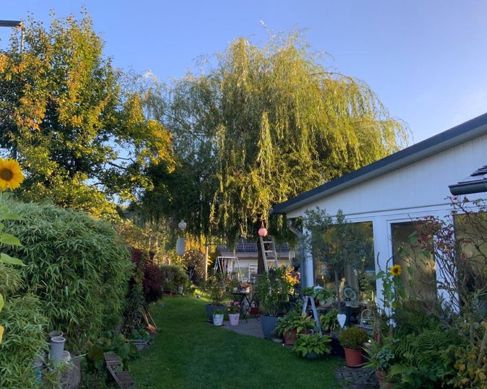 Villa Jani b&b