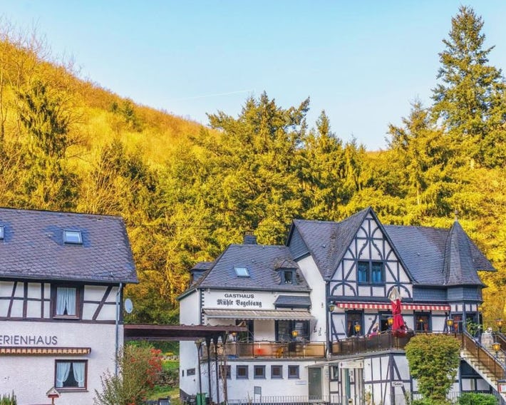 Historische Mühle Vogelsang