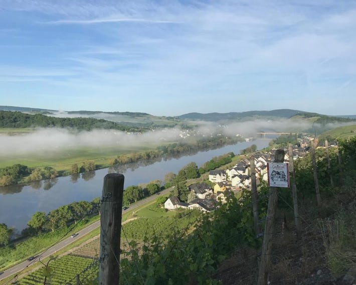 Wein- und Gästehaus Genetsch