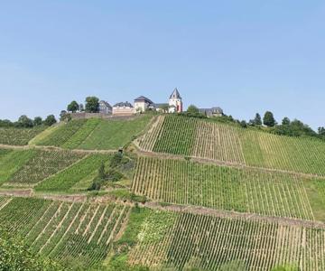 Burgblick Pünderich