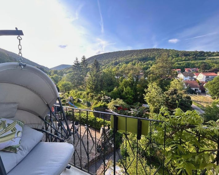 Pfälzer Traumblick