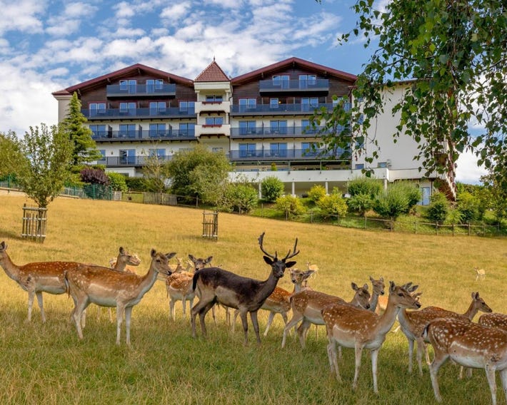 Natur- und Wohlfühlhotel Kastenholz