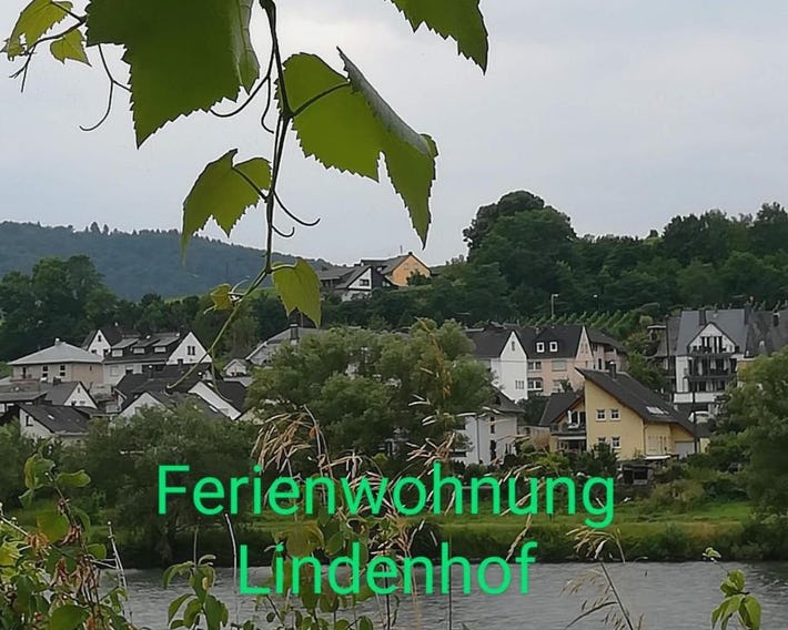 Die Ferienwohnung Lindenhof