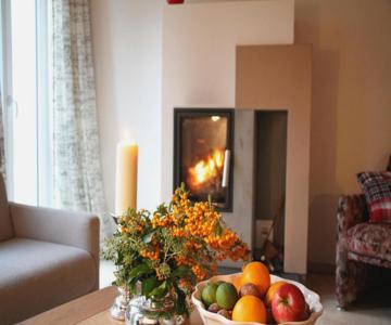 Ferienhaus Menuett - Kamin - Terrasse - Elbblick