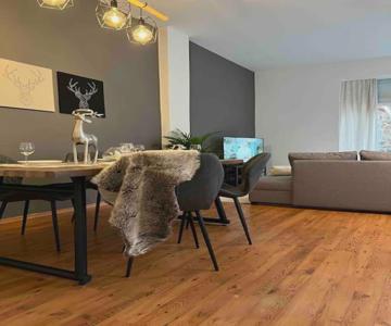 Akk5 Großes Apartment Mit Terrasse Nähe Hbf/uni