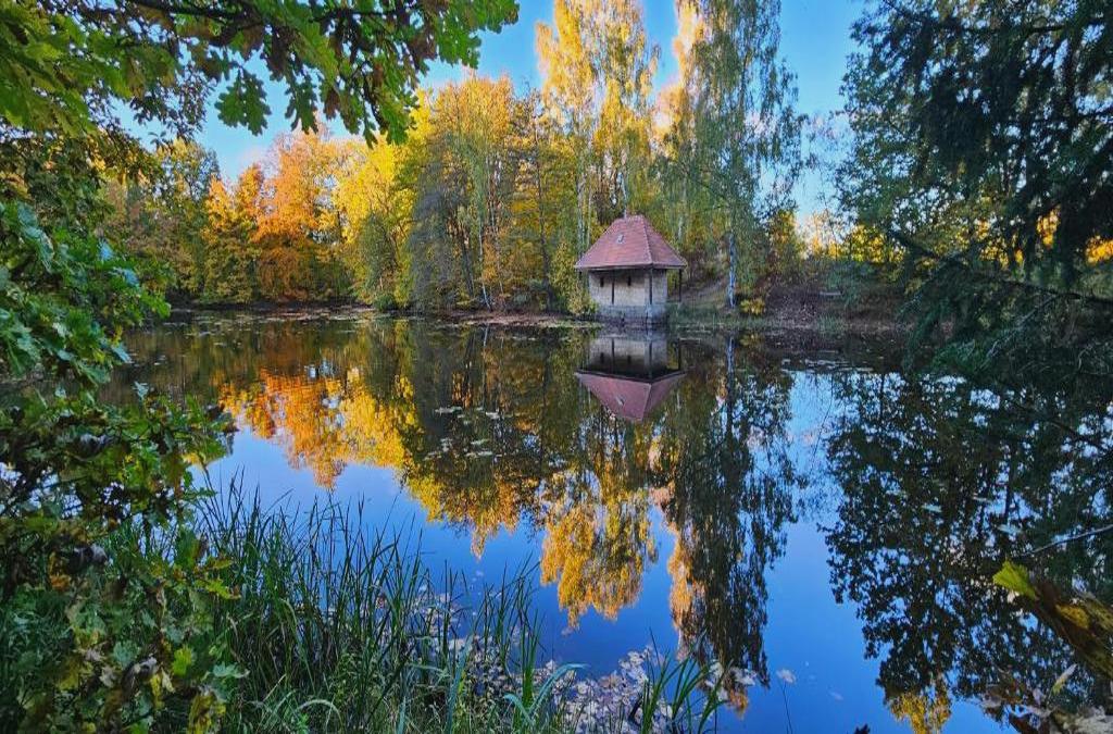 Ferienwohnung am Wald