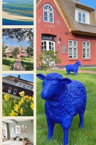 Alte Schule SPO