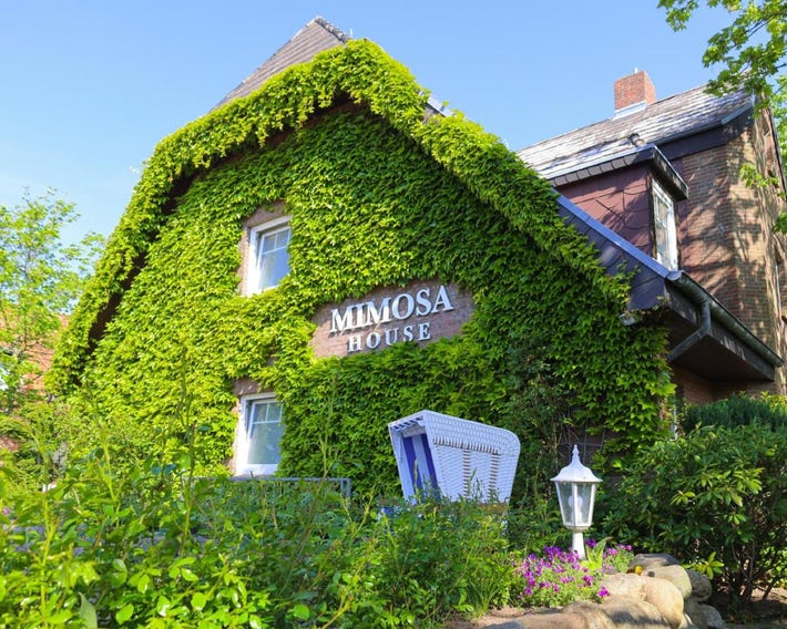Mimosa House
