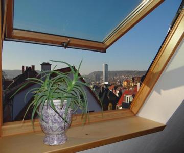 Attraktives 2-zimmer-apartment Mit Ausblick