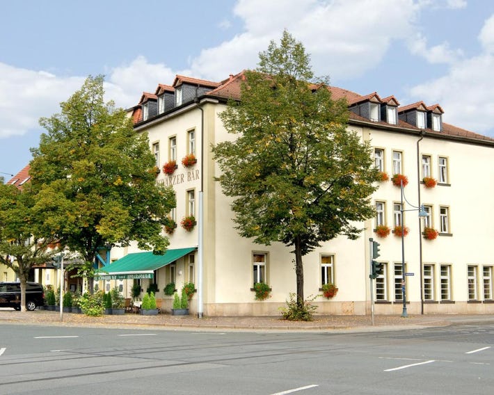 Schwarzer Bär