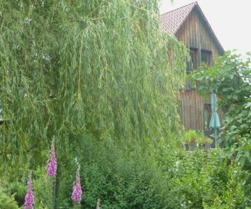 Ferienwohnung Lotti