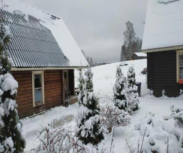 Safari House