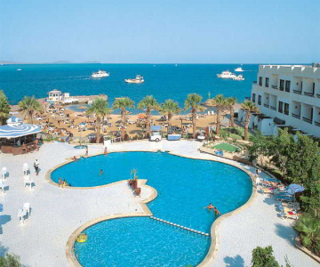 Sea Shell