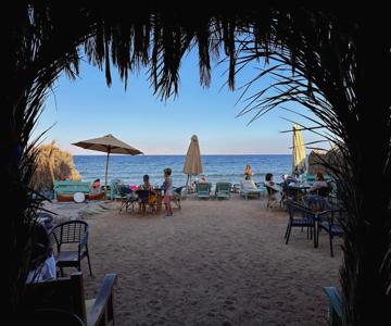 Amanda Beach Garden