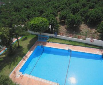 LAS PALMERAS