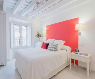Luminoso Apartamento En El Centro De Cádiz