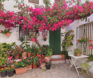 La Buganvilla De Juana Y Antonio