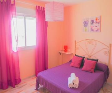 Conilplus San Ignacio