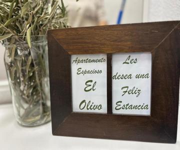 Apartamento espacioso El Olivo