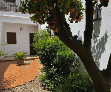 Acogedor Apartamento Junto A Plaza De San Agustin