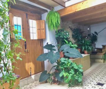 Apartamento en Casa Patio "Pan y Conejo"
