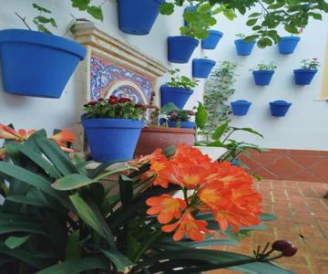Hotel La Ribera