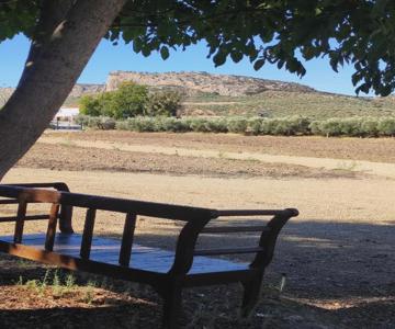 Alojamiento rural Huerta Mandre