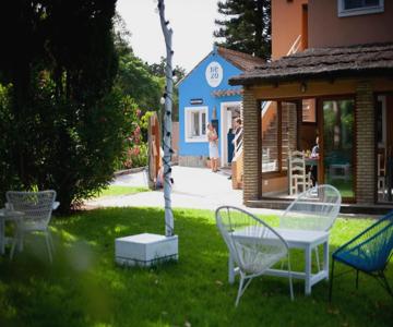 Nexo Surf House