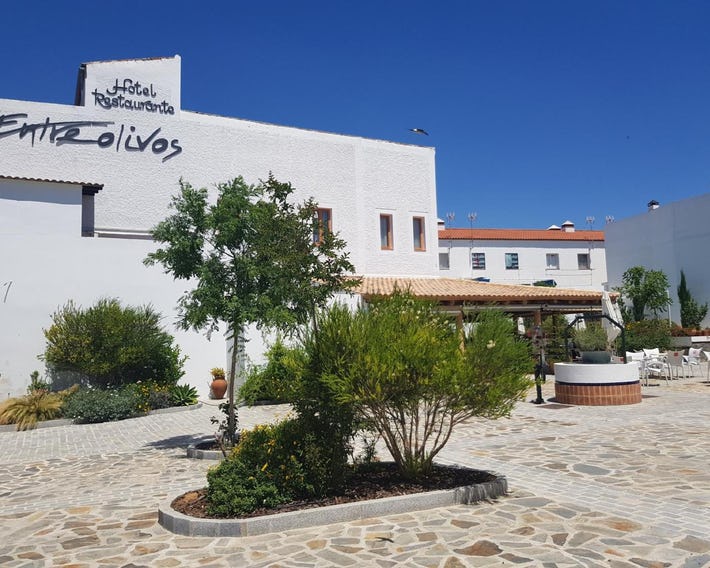 Hotel Entreolivos